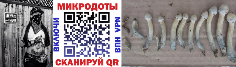 Купить  Усть-Джегута  Псилоцибиновые грибы Magic Shrooms 