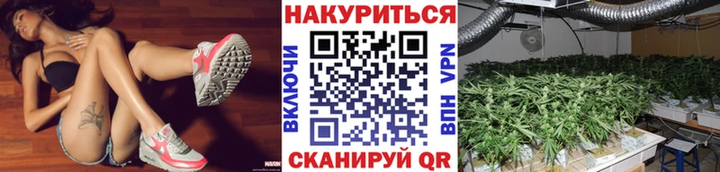 Купить закладки  Усть-Джегута  МАРИХУАНА VHQ 